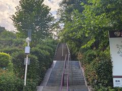 -栾川竹海野生动物园