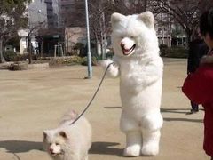 -必胜客(栖乐荟店)