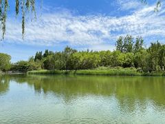 -大兴滨河森林公园