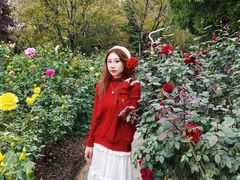 -人民公园(罗湖区)