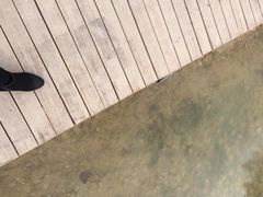 iphone_upload_pic-雁滩公园