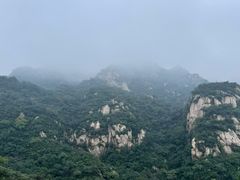 -大岭沟猕猴桃谷风景区