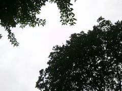 android_upload_pic-天赐温泉