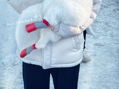 -人民防洪胜利纪念塔