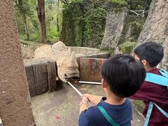 -杭州野生动物世界