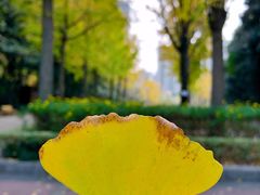 -苏州河梦清园环保主题公园