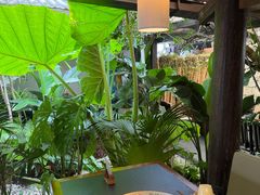 -菌自由丨野生菌火锅特色庭院餐厅(丽江古城店)