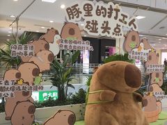 -凯德MALL(西直门店)