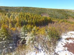 -塞罕坝国家级自然保护区