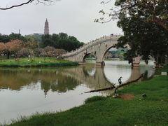 -顺峰山公园