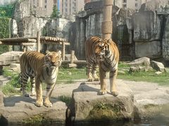 -上海野生动物园