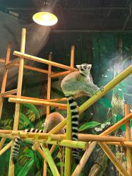 -Zoolung Zoolung动物主题公园(海信广场店)