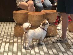 -Luneurs(幸福里店)