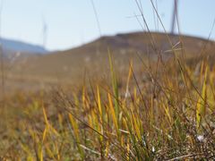 -塞罕坝国家级自然保护区