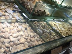 -常州环球恐龙城维景国际大酒店
