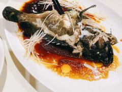 清蒸沙巴龙趸-东海海鲜酒家(中信广场店)