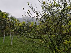 -雅安楠水阁温泉酒店