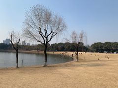-黄兴公园