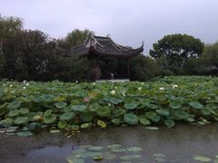 -无锡蠡湖国家湿地公园-蠡园