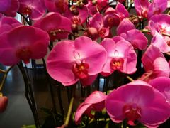 android_upload_pic-黔蘑菇四季餐厅(观山湖店)