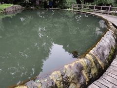 -成都市活水公园