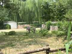 -北京海洋馆
