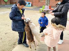 -太阳岛度假酒店