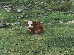 -硗碛藏寨·神木垒景区