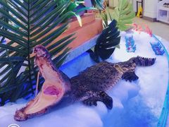 -澜悦港海鲜体验主题餐厅
