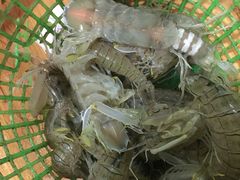 -浪琴湾尾角仔海鲜坊