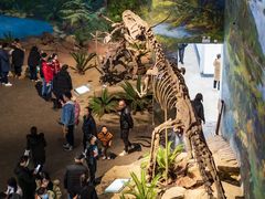 -自贡恐龙博物馆