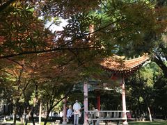 -陕西师范大学(雁塔校区)