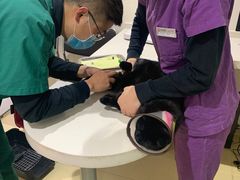 -艾贝尔宠物医院·24H转诊中心·肿瘤猫专科(江宁双龙店)