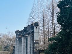 -音乐台