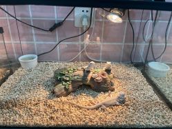 -Moni星球萌宠·小马宝莉·灵蛇·高端高阶全萌宠互动体验俱乐部(红豆国际广场店)