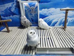 -成都浩海立方海洋公园