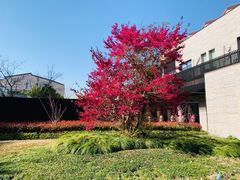 -上海崇明金茂凯悦酒店