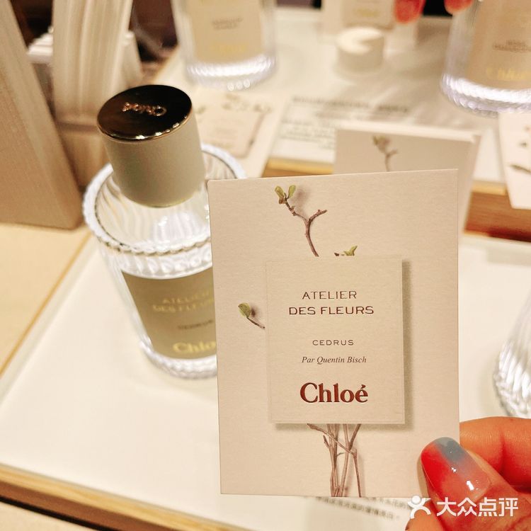 💝Chloe北国雪松｜清冷温柔的白富美高级香