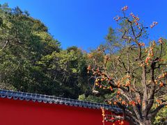-大慈岩风景区