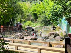 -广州白江湖森林公园