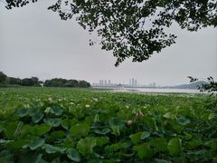 -云龙湖旅游景区