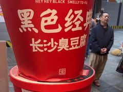 -黑色经典臭豆腐·湖南特产(太平街口店)