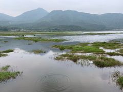-腾冲北海湿地