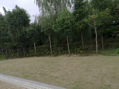 -同里国家湿地公园