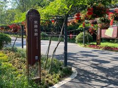 -东平国家森林公园