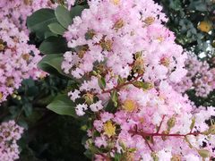 -杭州城北体育公园