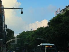 -梧州双钱龟苓膏(丽港航母店)