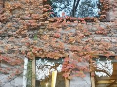 -中国茶叶博物馆(双峰馆区)