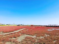 -盘锦红海温泉乐园