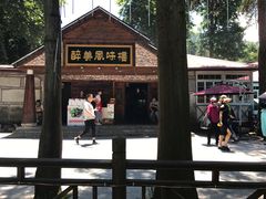 -醉美风味楼